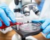 Cientistas britânicos testarão reinfecções com coronavírus para saber carga viral - Jornal da Franca