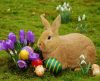 Você sabe por que ovos e coelhos são símbolos da tradição cristã da Páscoa? Descubra - Jornal da Franca