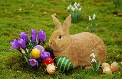 Você sabe por que ovos e coelhos são símbolos da tradição cristã da Páscoa? Descubra - Jornal da Franca