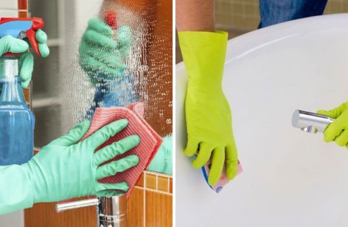 Você sabe a diferença entre limpeza e desinfecção? Veja aqui e faça do jeito certo! - Jornal da Franca