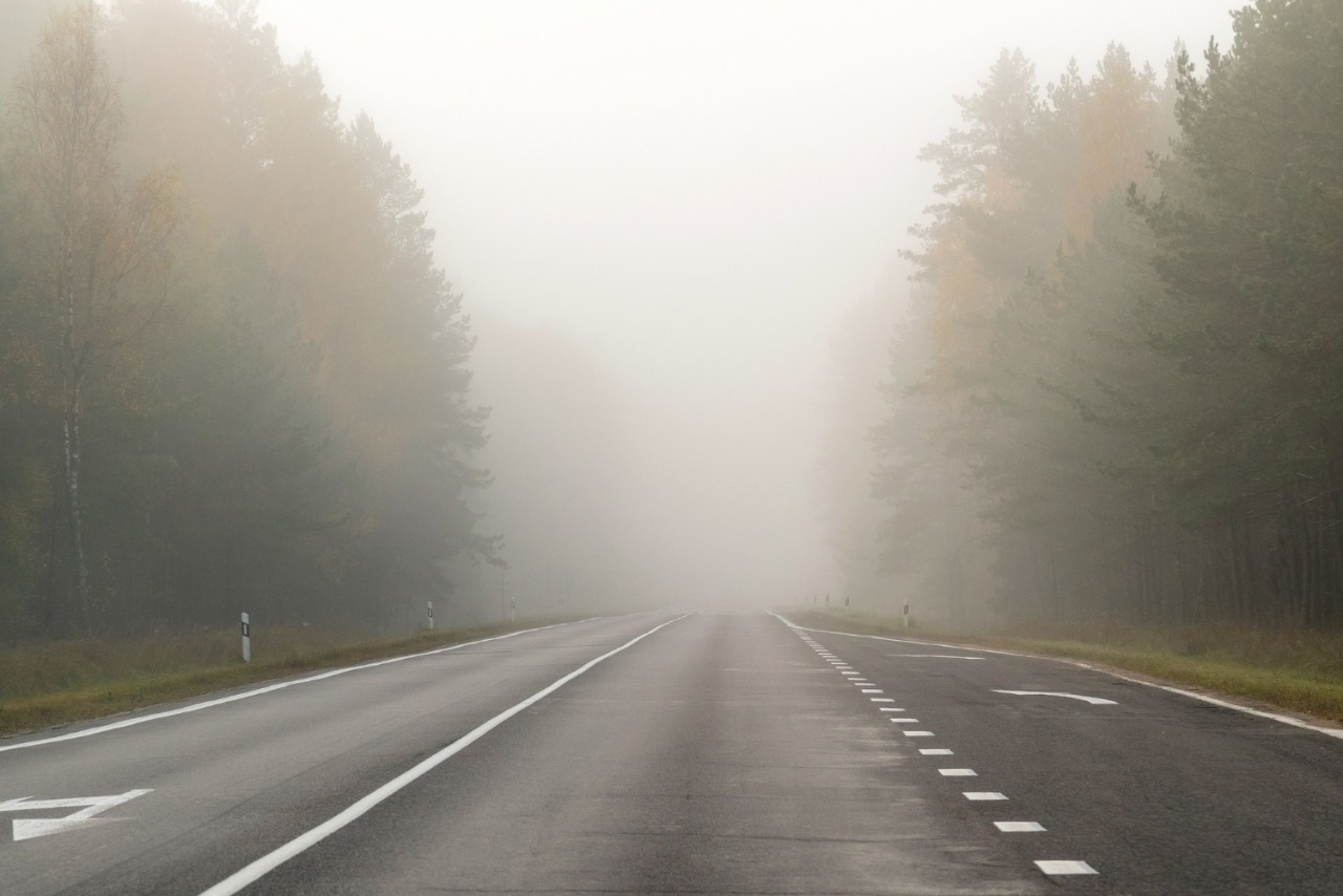 Dirija com cautela: vários pontos da rodovia Cândido Portinari têm neblina intensa