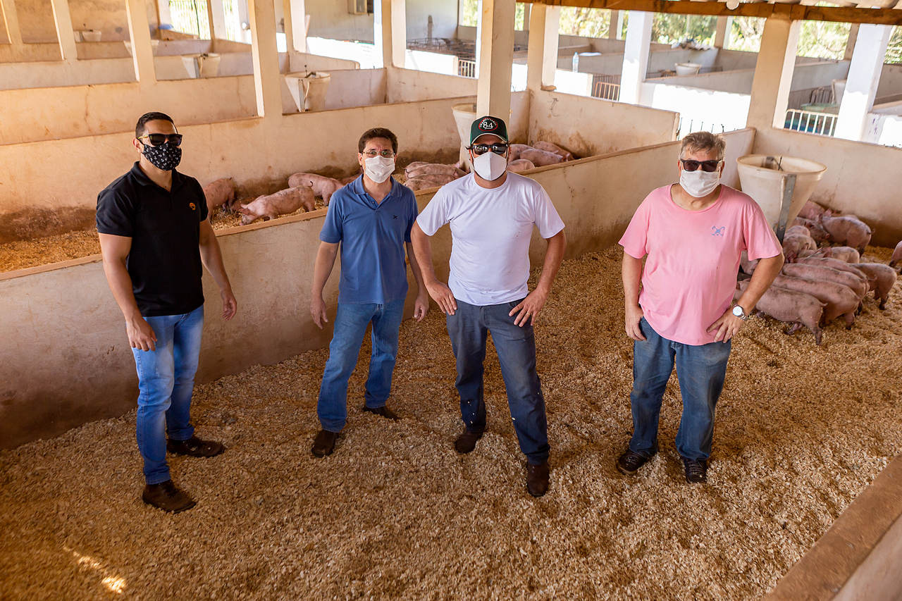 Casas de Carnes do Empreender ACIF iniciam criação de suínos com 160 leitões