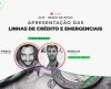 ‘Caminho Para o Crédito”, da ACIF, promove live com Banco do Povo de Franca - Jornal da Franca