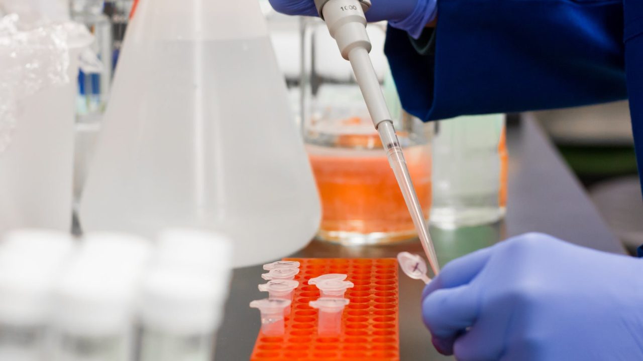 Cientista identificam vírus da gripe com potencial para se tornar uma nova pandemia