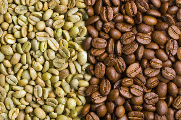 Exportação de café não torrado avança 25,49% em relação ao ano passado
