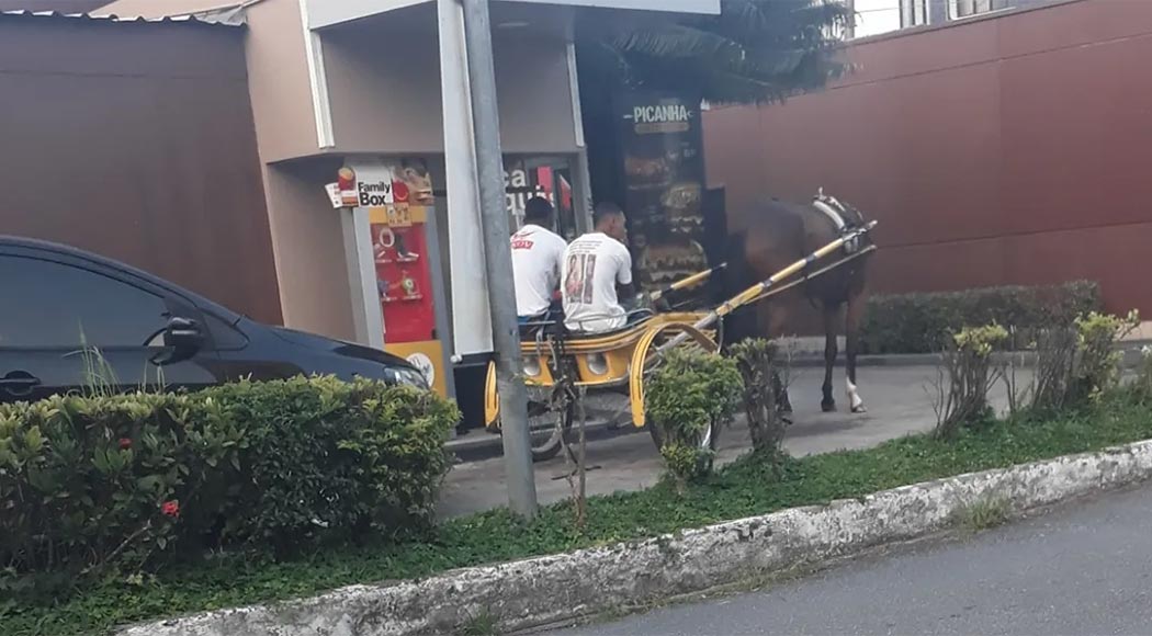 Jovens são flagrados de charrete em drive-thru do McDonald’s: cliente raiz
