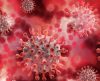 Coronavírus infecta e se replica em células das glândulas salivares, diz estudo USP - Jornal da Franca