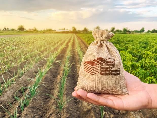 Governo libera crédito rural para os agricultores familiares com juros de 3% a 4,5%