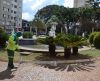 Em Franca, praças da área central recebem serviços de manutenção e limpeza - Jornal da Franca