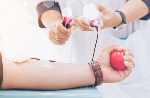 Estudo aponta que somente 19% dos brasileiros doam sangue com regularidade - Jornal da Franca