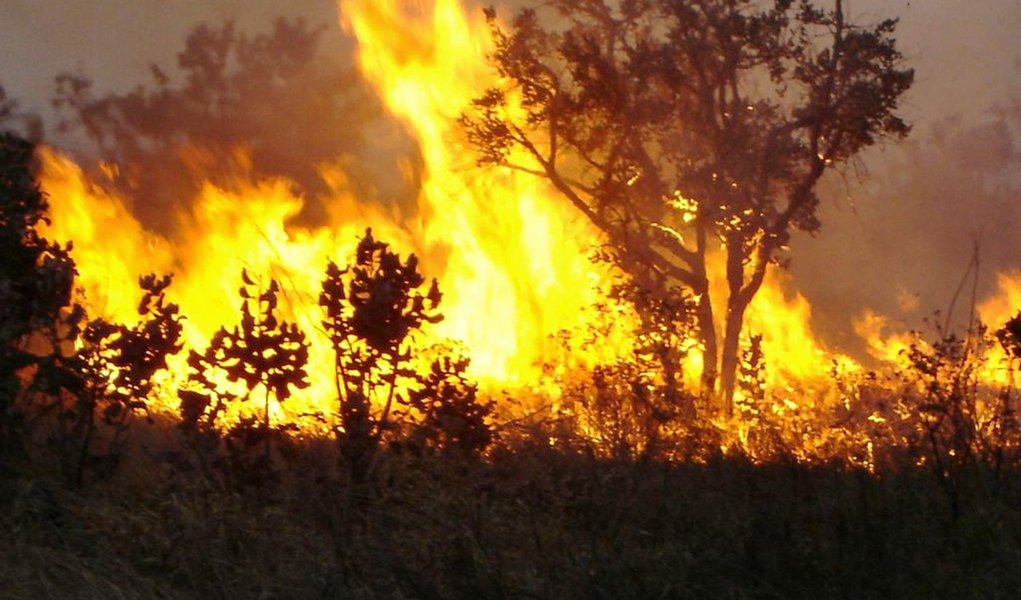 Defesa Civil precisa de equipamentos em Franca; vereadores pedem ao Estado