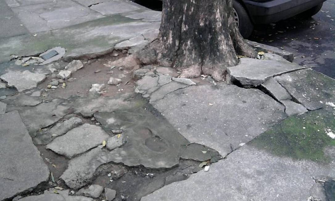 Árvores sem poda estragam calçadas e atrapalham pedestres no Bairro São Joaquim
