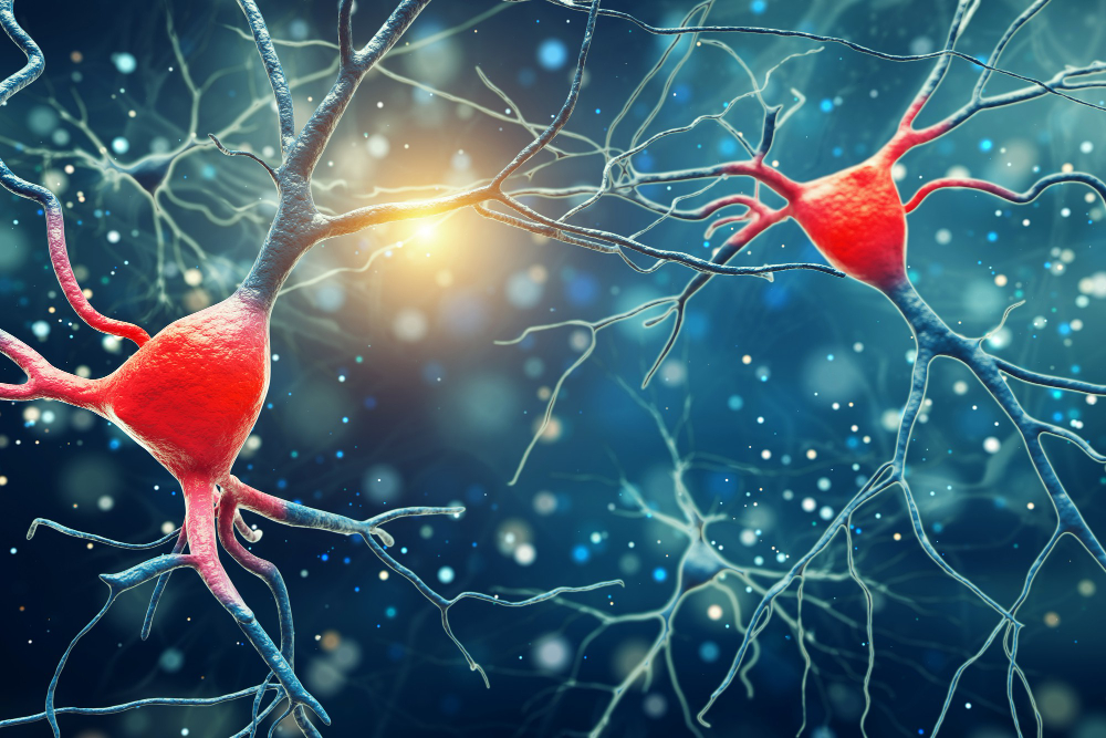 Estudo estima que casos de demência, como Alzheimer, devem triplicar até 2050