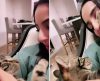 Vídeo: dona canta para o gato, bichano retribui o carinho e quebra a internet - Jornal da Franca