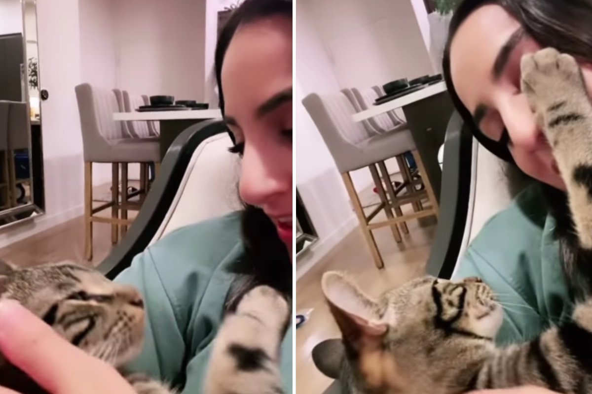 Vídeo: dona canta para o gato, bichano retribui o carinho e quebra a internet