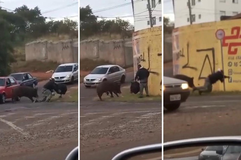 Ele foi atleta, motoboy e agora é o tiktoker mais popular do Brasil