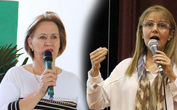 FEAPAES-SP participa de audiência no Supremo Tribunal Federal e defende a inclusão