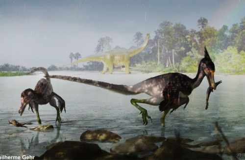 Você conhece o Dinossauro Ypupiara? Ele era carnívoro e vivia pertinho de Franca! - Jornal da Franca