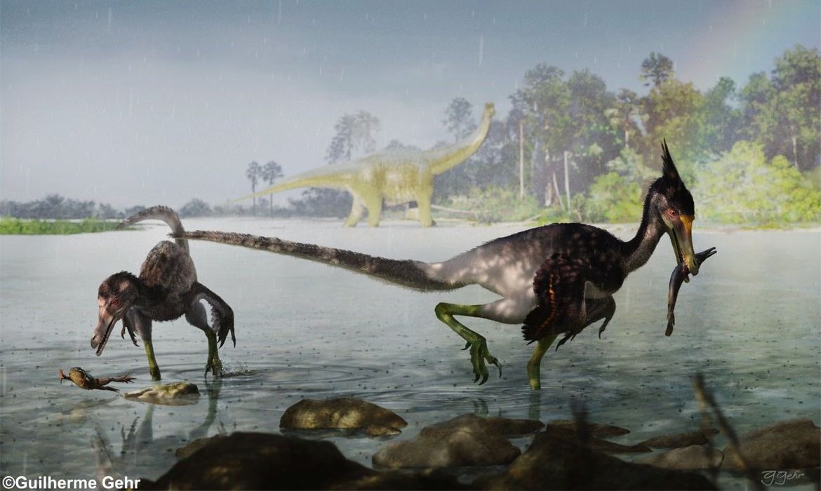 Você conhece o Dinossauro Ypupiara? Ele era carnívoro e vivia pertinho de Franca!