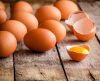 Nosso “Zoiúdo” de cada dia: ovos fazem sucesso por serem baratos e saudáveis demais - Jornal da Franca