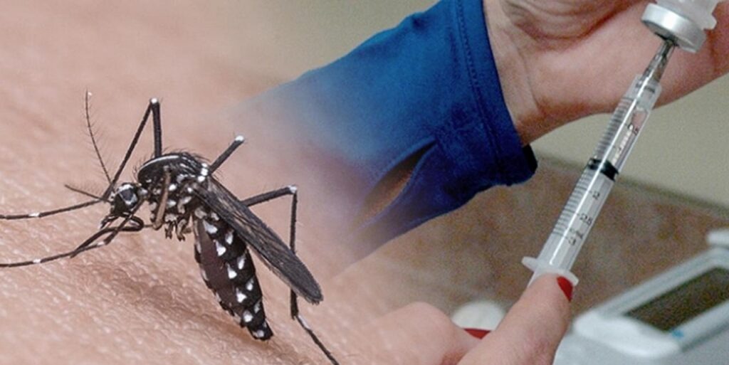 Não é só a covid que exige cuidados; vacina contra chikungunya tem 98% de eficiência