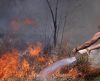 Estado de SP tem mês com maior número de incêndios dos últimos 10 anos, diz o Inpe - Jornal da Franca