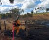 Fogo sem fim: queimadas destroem plantações e matam animais em áreas de reserva - Jornal da Franca