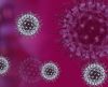 Pesquisadores brasileiros identificam nova variante do coronavírus: a Gama plus - Jornal da Franca
