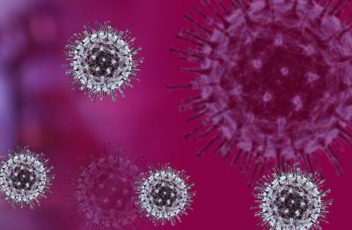 Pesquisadores brasileiros identificam nova variante do coronavírus: a Gama plus - Jornal da Franca