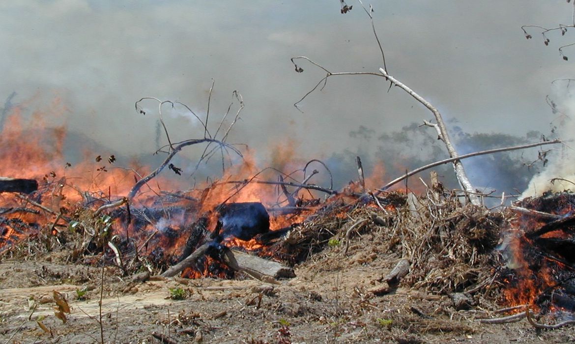 Governo de SP reforça nos pedágios a campanha educativa contra incêndios florestais