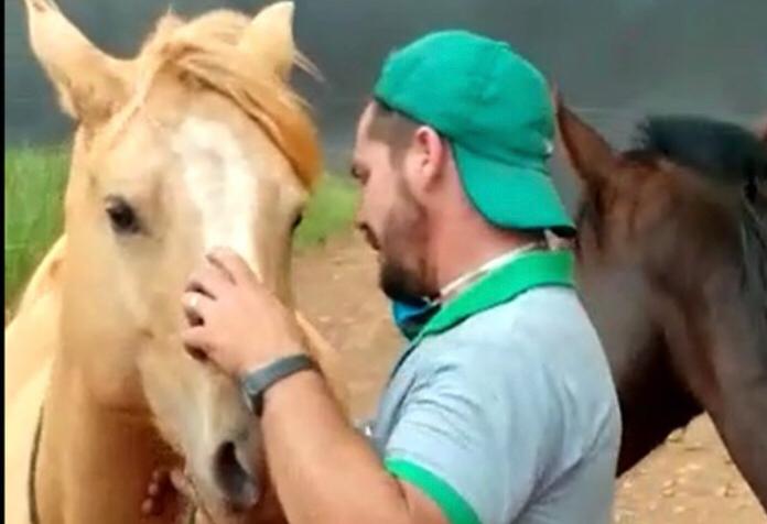 Homem se desespera para salvar seus cavalos ao ter sítio atingido por queimada