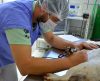 Franca retoma serviço de castração de animais – saiba como funciona e como solicitar - Jornal da Franca