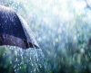 Tendência é de chuvas acima da média em outubro e novembro, diz meteorologista - Jornal da Franca