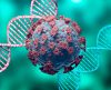 Genética impacta na reação do organismo contaminado por Covid-19, diz estudo - Jornal da Franca