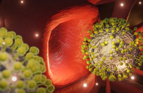 Proteína do coronavírus modifica células dos vasos sanguíneos, diz estudo - Jornal da Franca