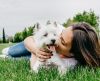 Saúde mental: saiba como os pets podem ser aliados no combate ao estresse! - Jornal da Franca