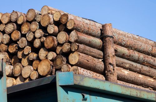 Polícia Ambiental vistoria 79 estabelecimentos e apreende 70 caminhões de madeira - Jornal da Franca