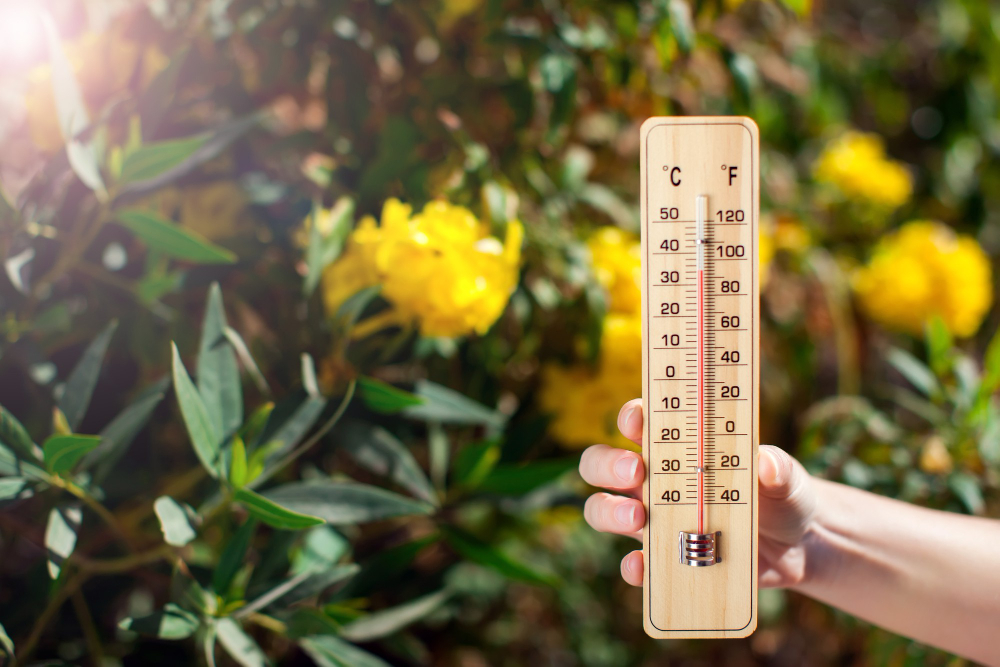 Defesa Civil do Estado alerta a população francana: calor elevado na cidade e região