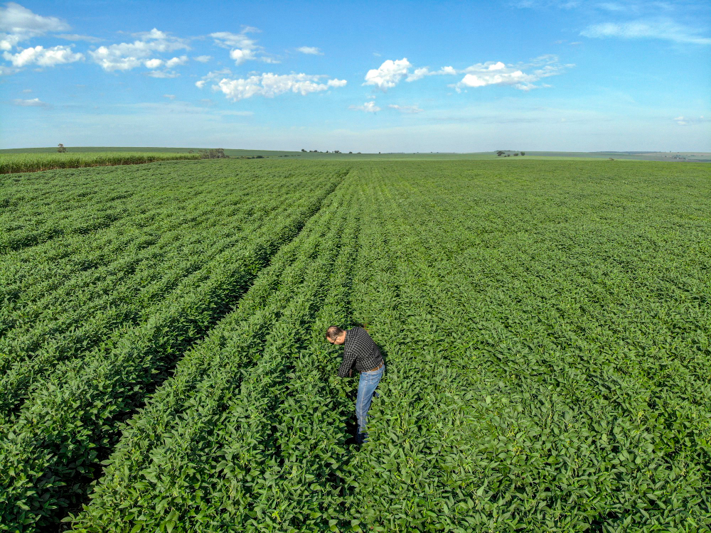 Projeções dos EUA apontam para “década de ouro” do agronegócio brasileiro