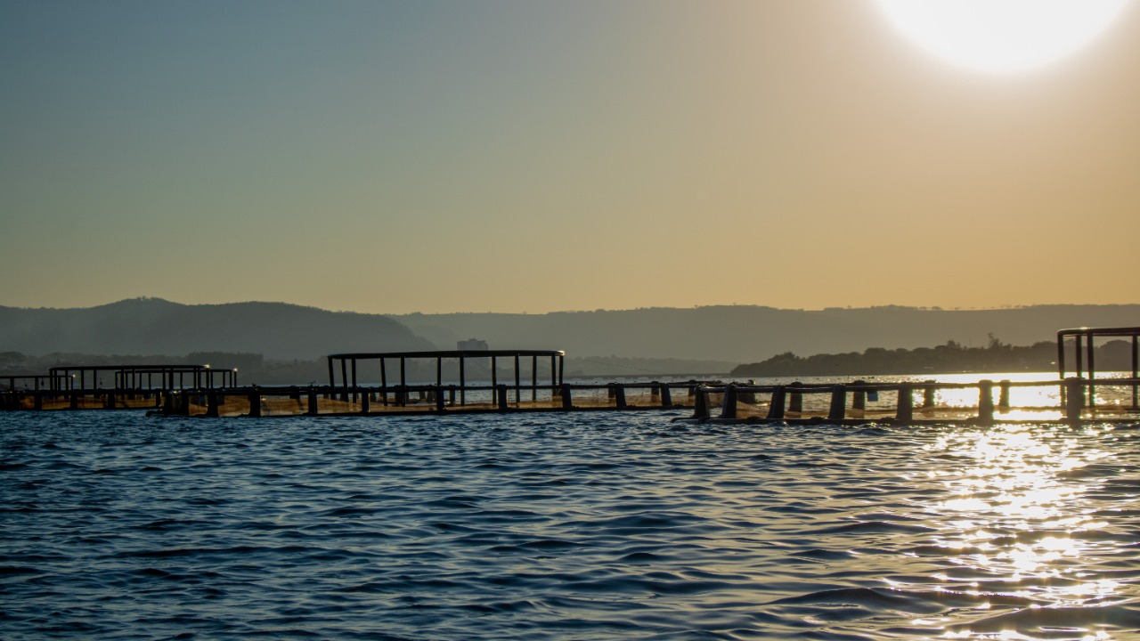 Fider Pescados conquista mais uma certificação internacional de boas práticas