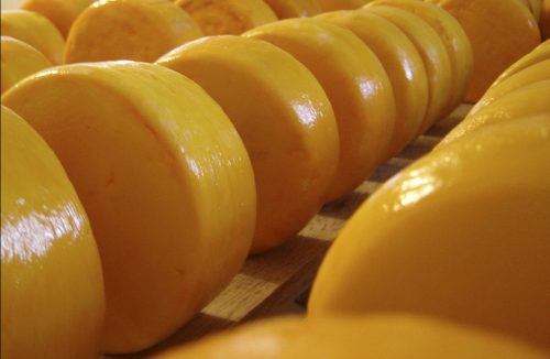 Mudança na legislação vai estimular produção artesanal de queijos, diz Faesp - Jornal da Franca