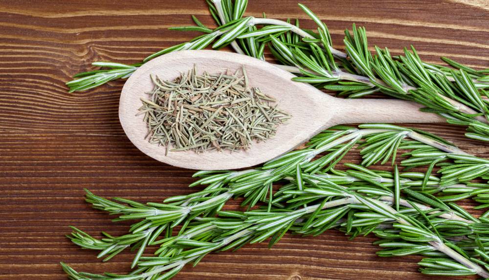 Veja a planta que regenera as células do pâncreas e melhora o sistema digestivo