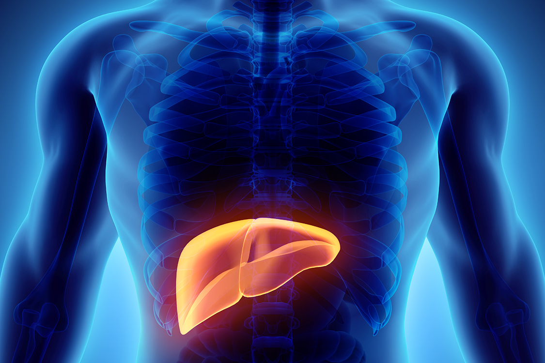 Câncer de fígado é causado pelas hepatites virais B e C, revela pesquisas