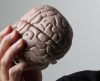 Saiba quais são as seis atitudes comuns que prejudicam (e muito) o cérebro! - Jornal da Franca