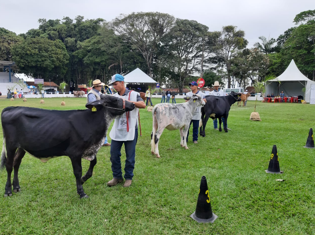 Expoagro 2022: duas empresas se habilitam para realização da grande festa em Franca