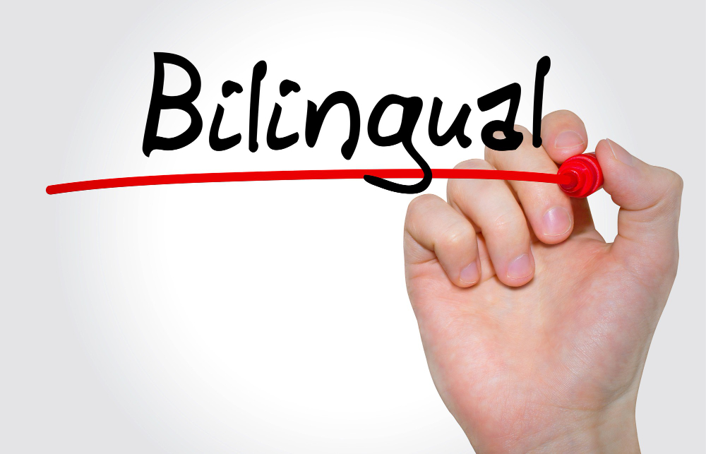 Câmara segue com as discussões sobre a implantação de uma escola bilíngue na cidade