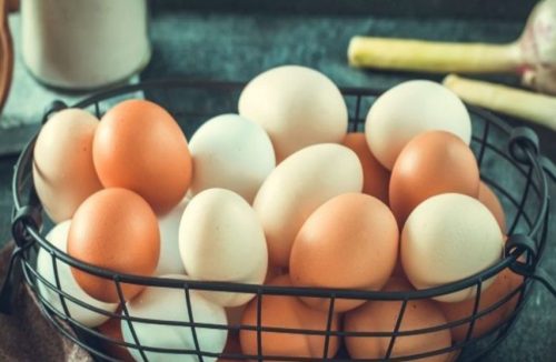 Saiba a razão dos brasileiros serem tão “apaixonados” por ovos em suas refeições - Jornal da Franca