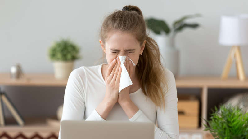 Chás podem curar a sinusite? Veja 5 mitos e verdades sobre doenças respiratórias!