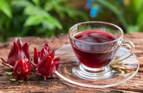 Saiba mais mais do chá de hibisco, poderoso aliado para perder peso e ter mais saúde - Jornal da Franca