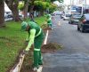 Em Franca, avenida Orlando Dompieri recebe serviços de manutenção e limpeza - Jornal da Franca
